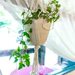 Apartman Boho House 4 Camp Terme Catez With Promotional Tickets Prices *