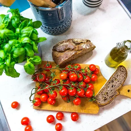 Apartman Boho House 4 Camp Terme Catez With Promotional Tickets Prices Čatež ob Savi