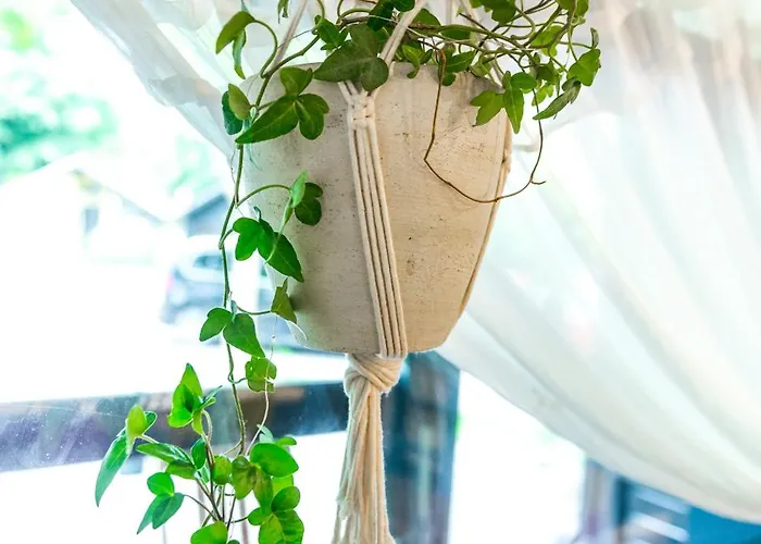 Appartamento Boho House 4 Camp Terme Catez With Promotional Tickets Prices *